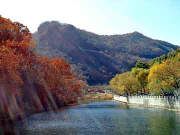 澳门天天免费精准大全，北京地板打蜡